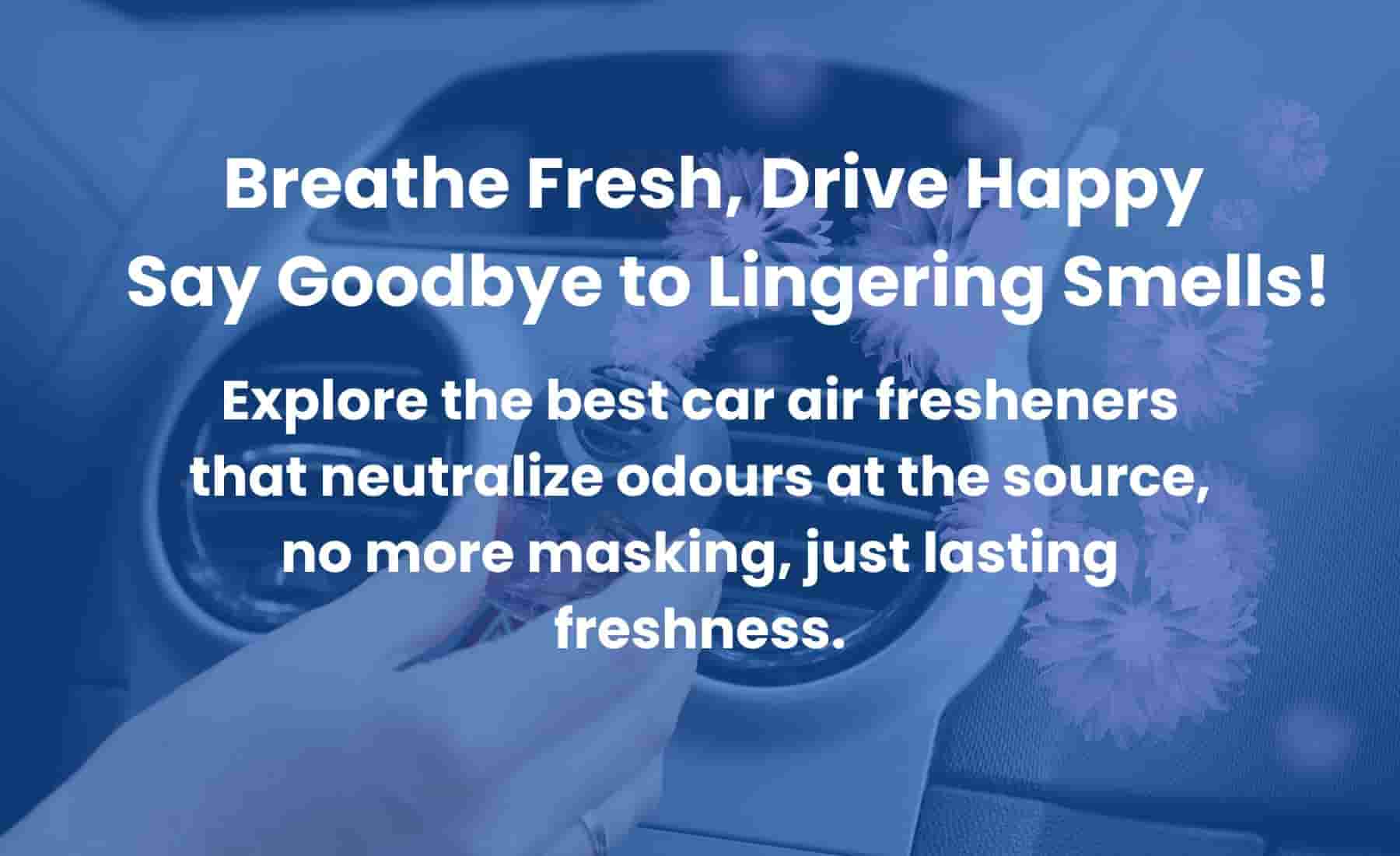 Top-rated car air fresheners that eliminate odours, displayed in a clean vehicle interior.