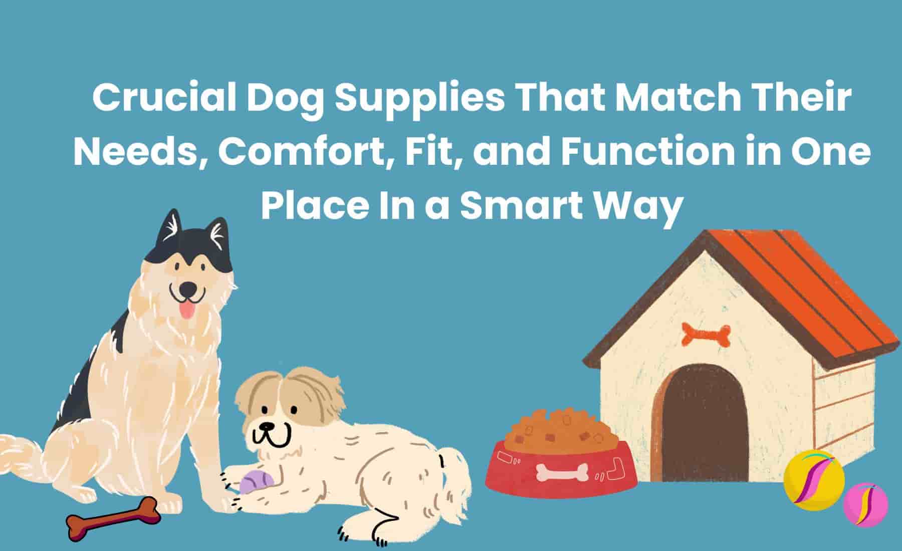 dog breeds with customized supplies like collars, bowls, coats, and toys laid out according to breed needs