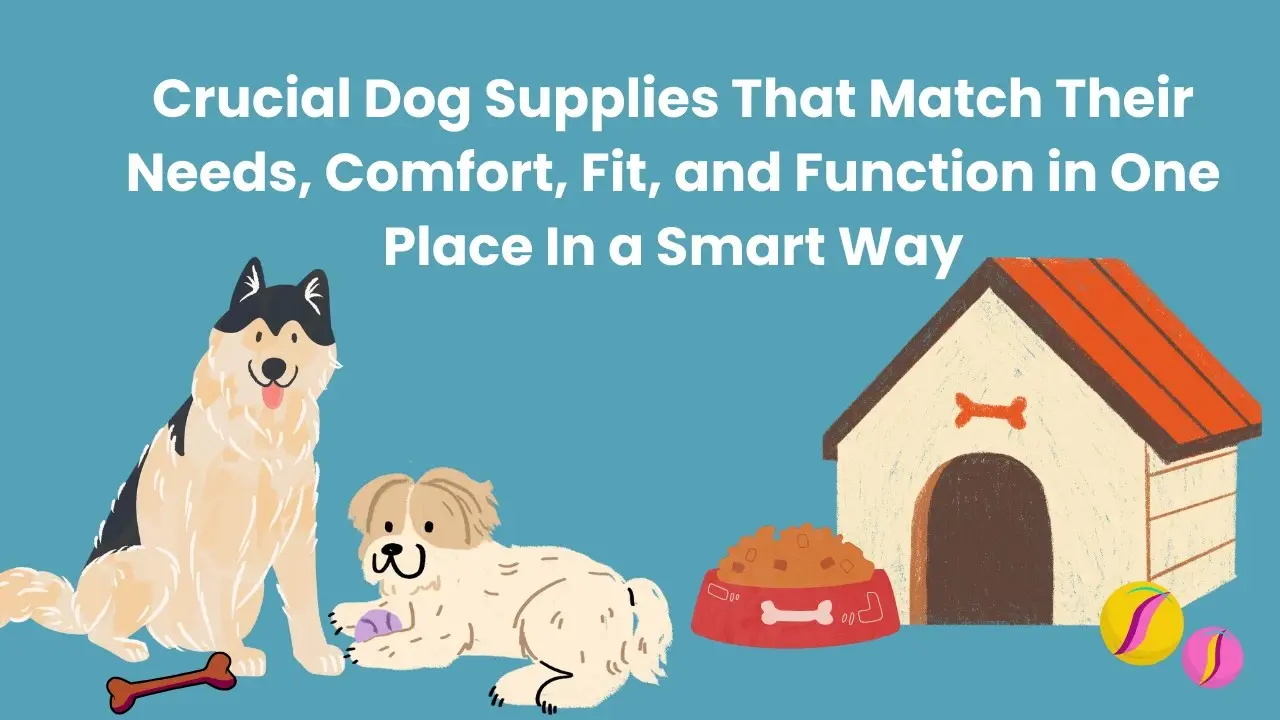 dog breeds with customized supplies like collars, bowls, coats, and toys laid out according to breed needs