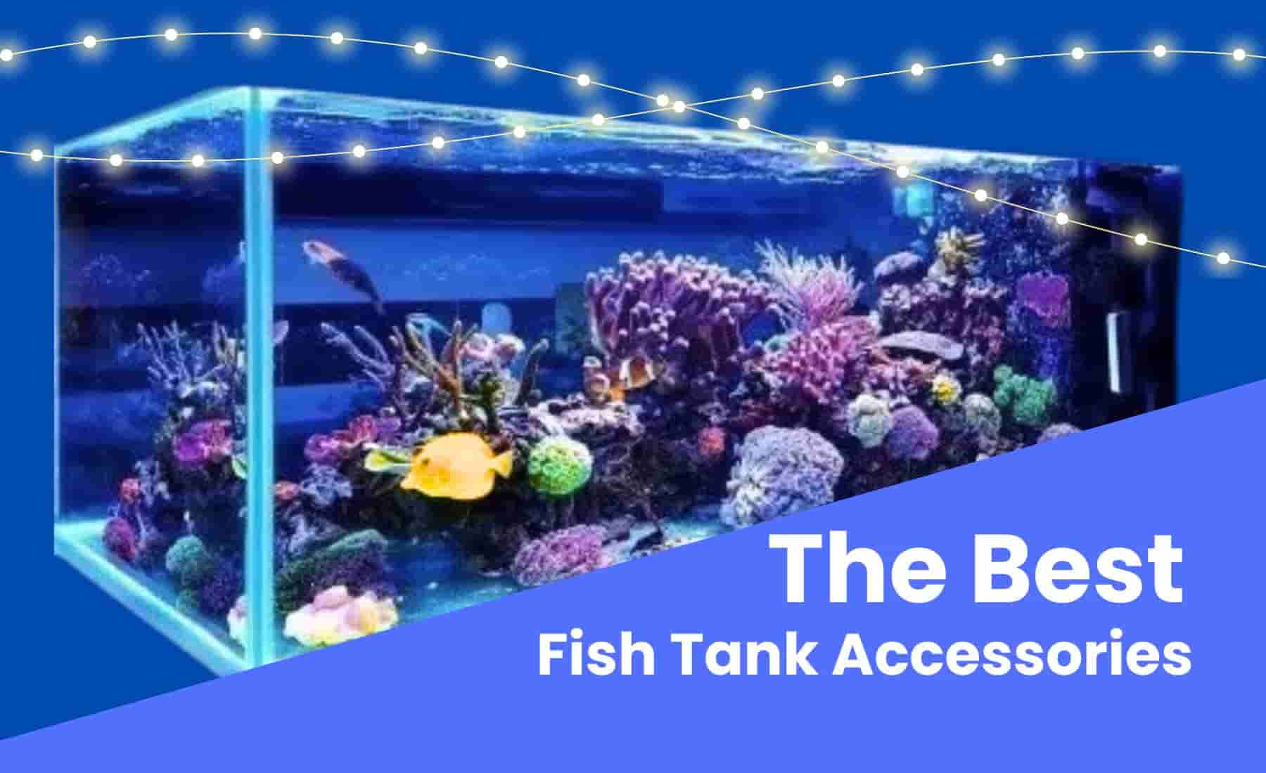 Colorful fish tank filled with vibrant corals, decorative rocks, and tropical fish under blue lighting.